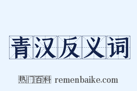青汉反义词是什么意思的图片